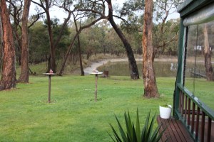 The bird feeders with resident Galahs