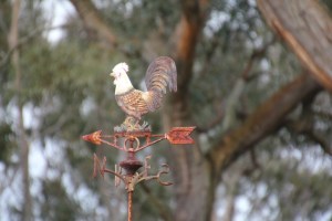 Weather Vane