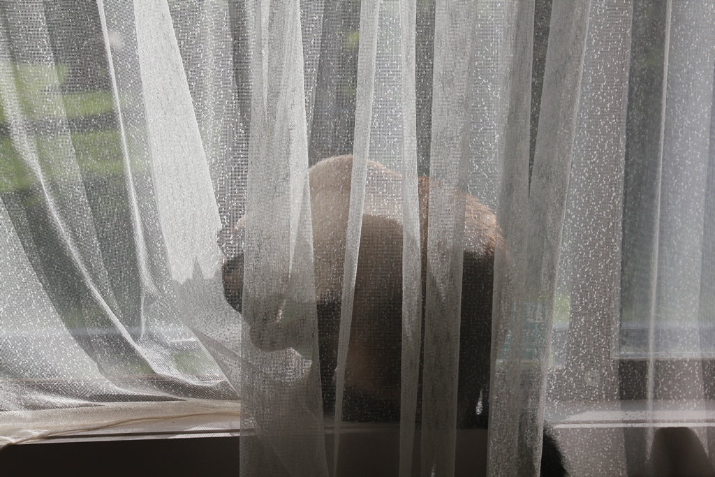 Clio sitting in the sun on the window ledge