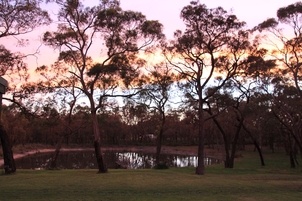 The dam flanked by pink and yellow clouds