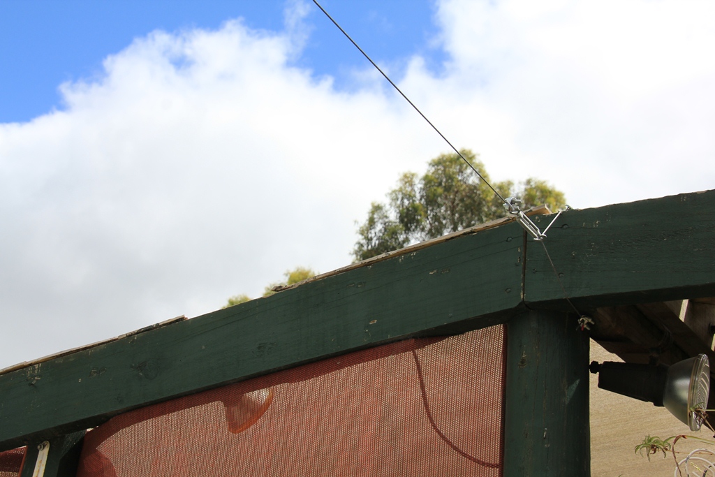 Support wire attached to the fernery