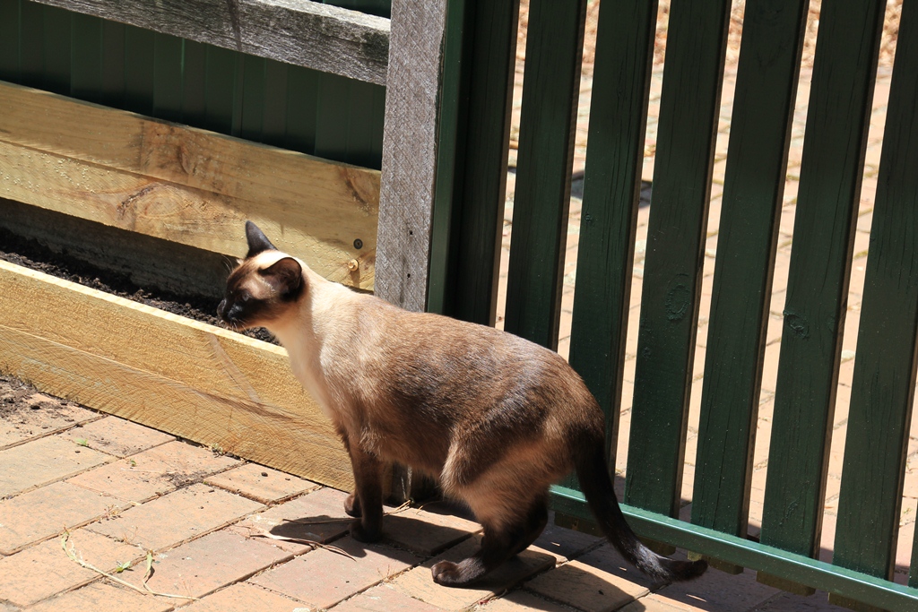 Clio Ventures Outside