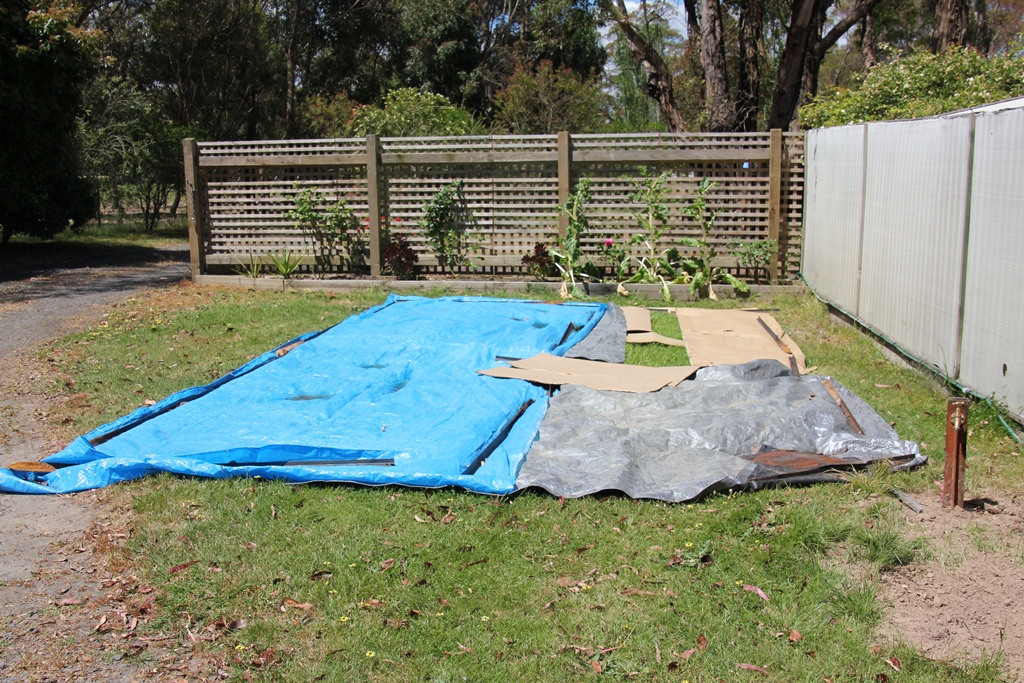 Preparing for the&nbsp;Greenhouse