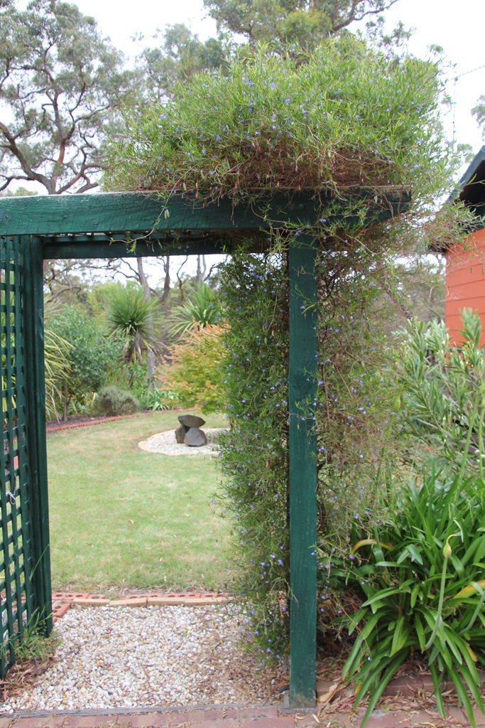 Trellis Archway with Creeper