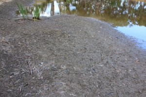 Low water levels reveal a beach