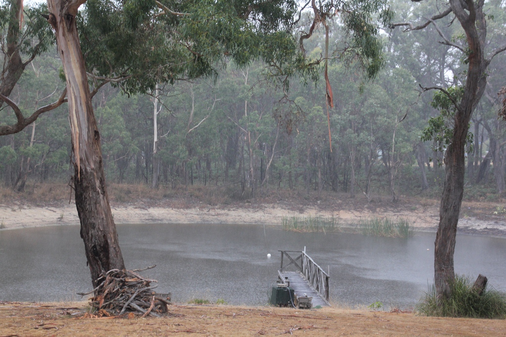 Rain over the dam