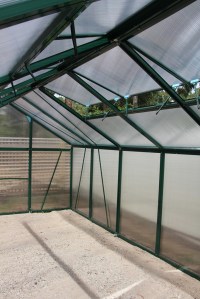 Greenhouse Interior