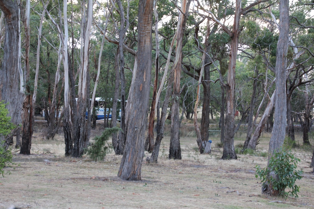 A large fast-moving grass&nbsp;fire…