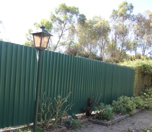 Garden bed with pruned plants