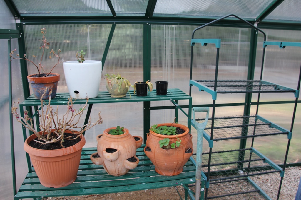 Greenhouse shelving