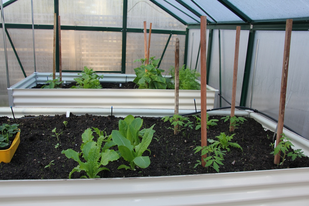 Raised garden beds