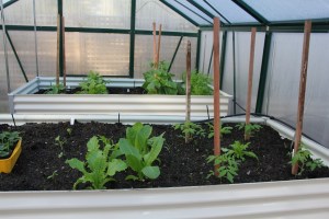 Raised garden beds