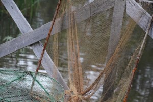 Yabbie Nets 1