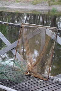 Yabbie Nets 2