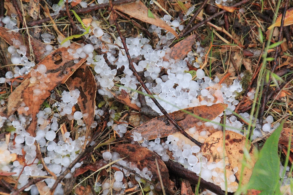 Summer Hail