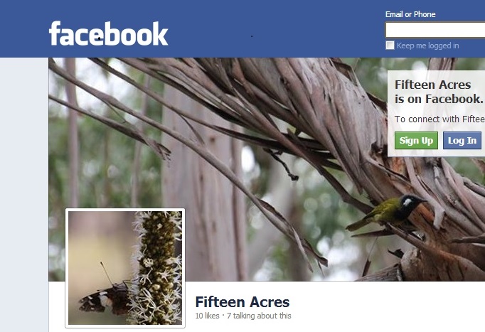 Begining the Discussion:  A Facebook&nbsp;Experiment