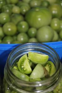 Pickled Green Tomatoes