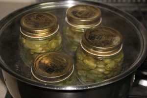 Pickled Green Tomatoes 2