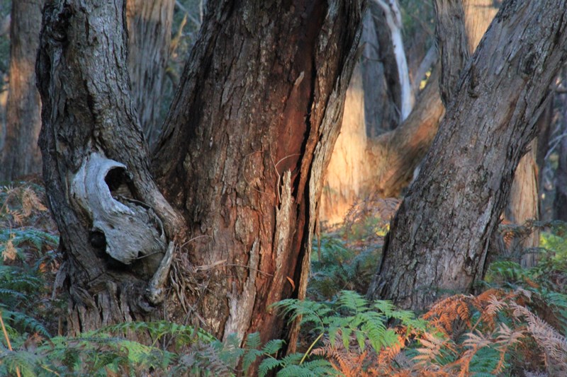 A New Artistic&nbsp;Venture