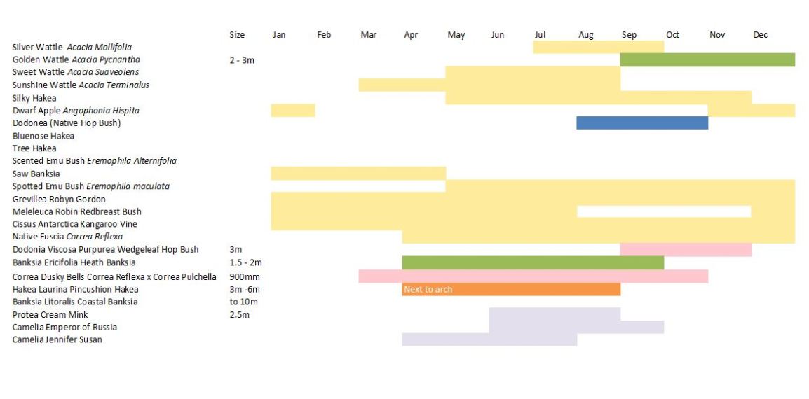 Chart-of-bird-attracting-flowers