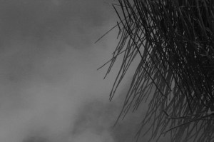 black-and-white-image-of-clouds-refelcted-on-water-along-with-sedge